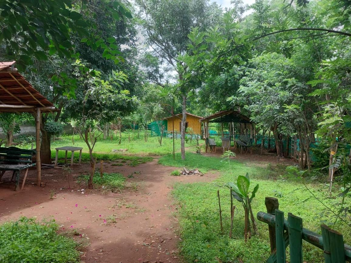 Mist Valley Hotel Masinagudi Exterior photo