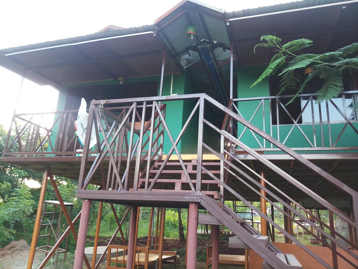 Mist Valley Hotel Masinagudi Exterior photo